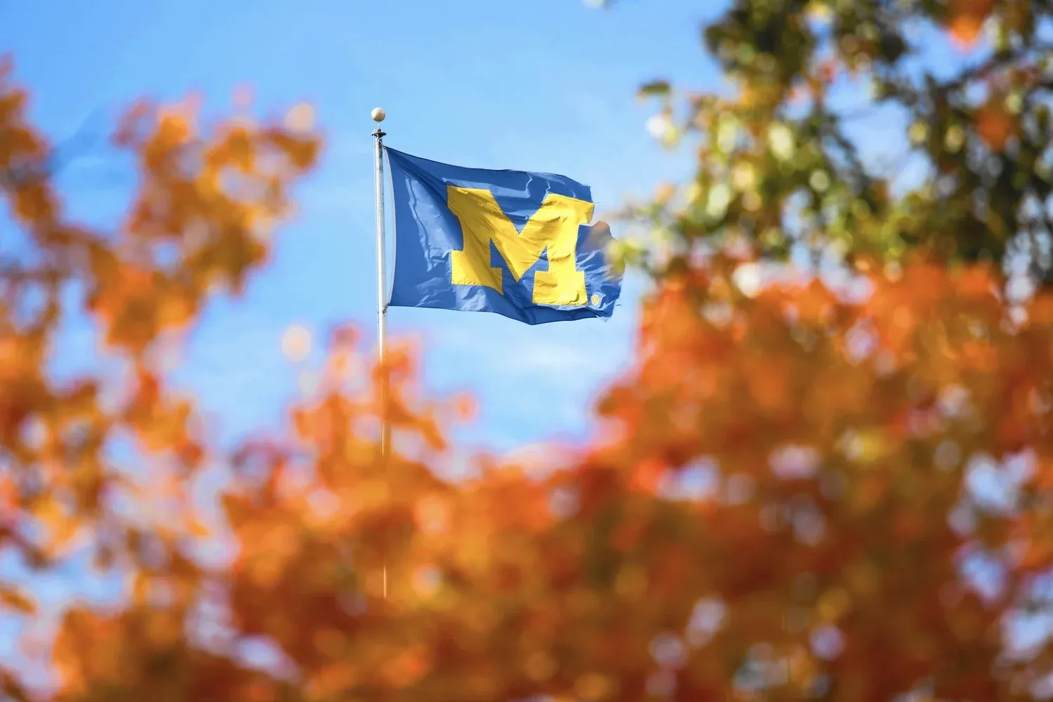 A Michigan flag flying among autumn leaves